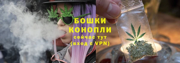 mix Белокуриха