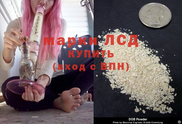 дживик Беломорск