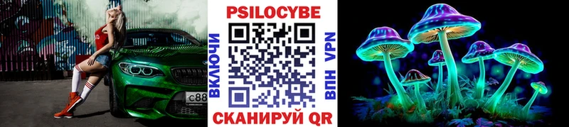 магазин продажи   Соль-Илецк  Псилоцибиновые грибы ЛСД 