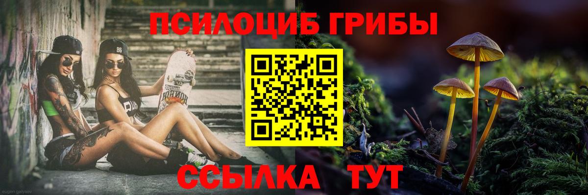 Галлюциногенные грибы MAGIC MUSHROOMS Соль-Илецк